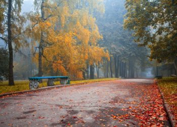 Vrijeme za vikend i početak sedmice