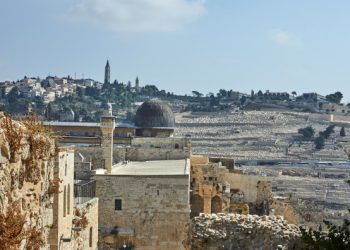 Analiza: Radi se o planu likvidacije Palestine (video)