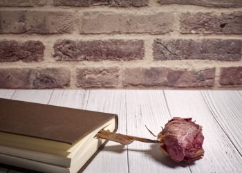 Poziv: Sekundarna traumatizacija-posljedice prošlosti ili izazovi budućnosti