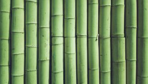 Besplatno: Sedmica japanskog filma u Sarajevu