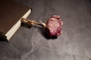 Javni poziv na obuku novinarkama i novinarima u Tuzli