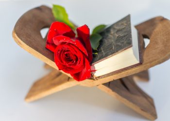 Nova hafiza je majka četvoro djece