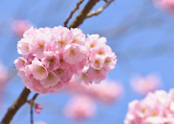 Otopljenje iduće sedmice