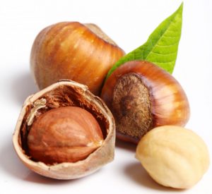 Turska tokom prošle godine zaradila od izvoza lješnjaka