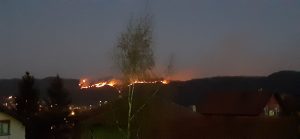 Gori šuma u blizini Tuzle