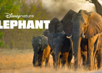 Dizni objavio novi film: Narator je vojvotkinja Megan Markl (video)