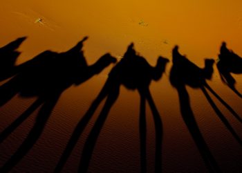 Historijske ličnosti: Prvi pravedni halifa islamskog ummeta