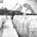Kako spriječiti negiranje genocida u Srebrenici