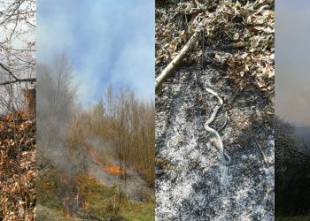 Požari u okolini Tuzle ne jenjavaju