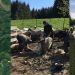 Karačići kod Srebrenice: Od svog rada može lijepo da se živi
