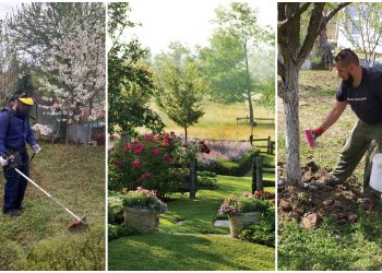 Snalažljivi i poduzetni u doba korone