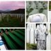 Majko Srebrenico bila si zamrznutog pogleda i nijema