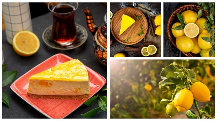 Veoma lagan i osvježavajući recept: Čizkejk sa limunom