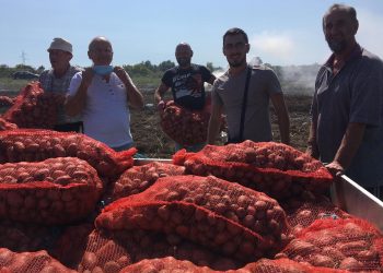 Medžlis IZ Prijedor: Podijelili 20 tona krompira socijalno ugroženima