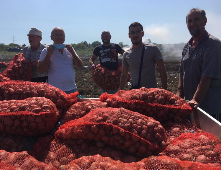 Medžlis IZ Prijedor: Podijelili 20 tona krompira socijalno ugroženima