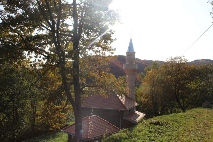 Jagodnja: Prijestolje samoće