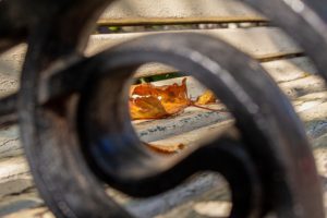 Sara Sabri: Najbitnije je da imaš mentalnu snagu i jasnu viziju