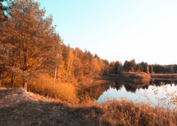 Vremenska prognoza za početak novembra
