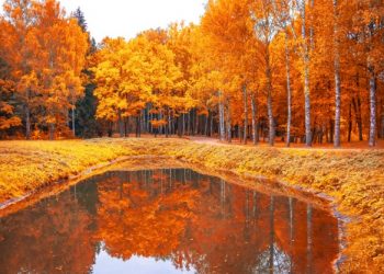 Što ne prolazi to nije sreća