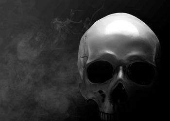 Kozluk: Pronađena ljudska lobanja