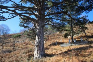 Od Drine do Zelenog Jadra: Ljeskovik