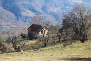 Od Drine do Zelenog Jadra: Ljeskovik