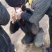 Policija lomi ruke i noge migrantima u Vojvodini