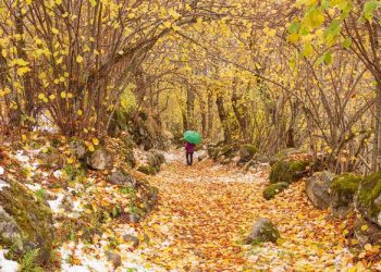 Čudim se četvorici koji zaboravljaju četvoro