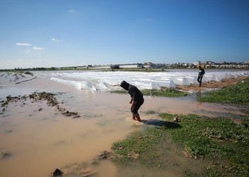 Gaza: Izrael poplavio palestinska poljoprivredna dobra