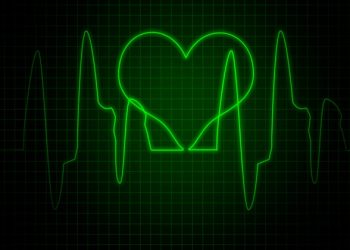 Istanbul: Srce malog Vedada nije izdržalo