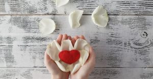 Istanbul: Srce malog Vedada nije izdržalo