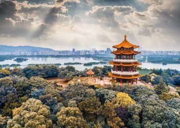 Profesor Imamović: Krvi smo sami sebi