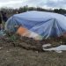 Srbija: Šatorsko naselje u blatnjavom beskraju