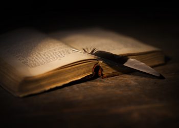 Bosanski jezik: Naslijeđen i potvrđen jezik Bosne