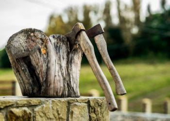 Iza nas je topla i promjenjiva zima: Čeka nas slično proljeće