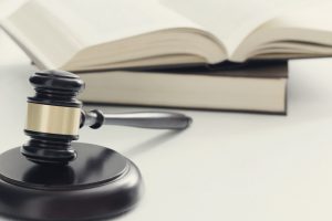 Manji bh entitet: Pod plaštom pandemije provodi se otimačina bošnjačke zemlje 