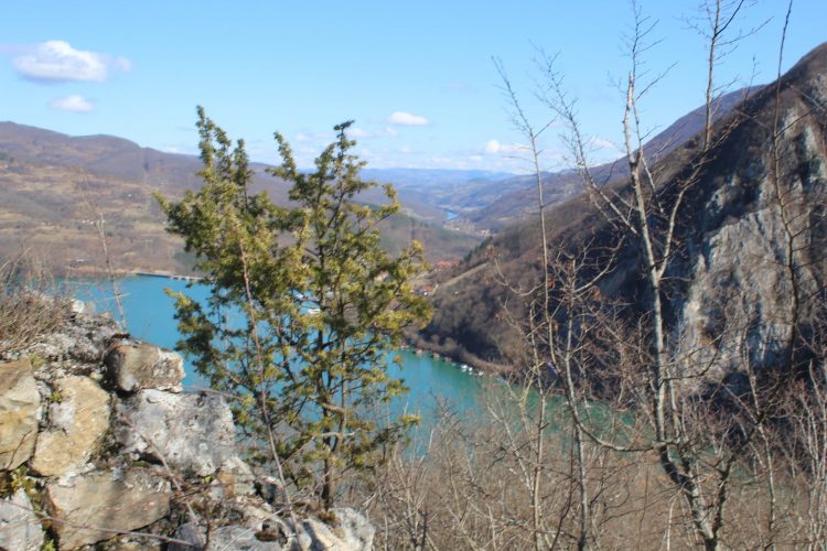 Od Drine do Zelenog Jadra: Đurđevac