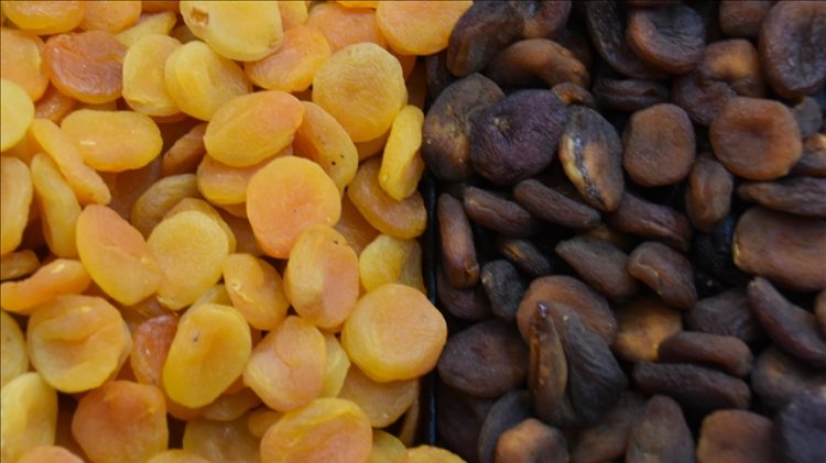 Turska izvozi suhe kajsije u 105 država