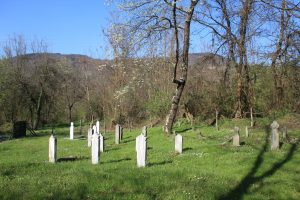 Od Drine do Zelenog Jadra: Abdulići ili Žanjevo