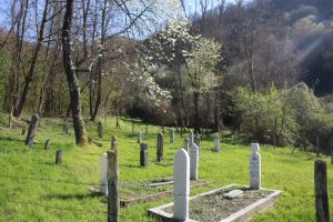 Od Drine do Zelenog Jadra: Abdulići ili Žanjevo