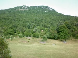 Bokševica 1993: Dogodilo se na današnji dan