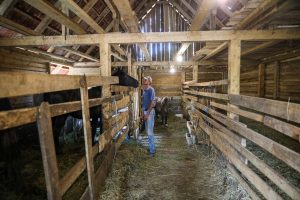 Mini zoološki vrt kod Zenice: Mjesto brige, ljubavi i pomoći životinjama i ljudima