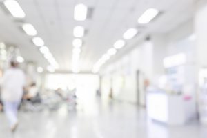 Ovca i pčela i daidža Mujo su iz dženneta malo na ovaj svijet svratili 