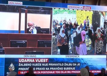 Porodice žrtava u Potočarima: Čekanje izricanja presude ratnom zločincu Mladiću