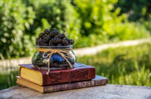 Predivno svjedočenje o odrastanju Priča o dudu