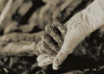 Srebrenica: Ovako su tekle pripreme za genocid