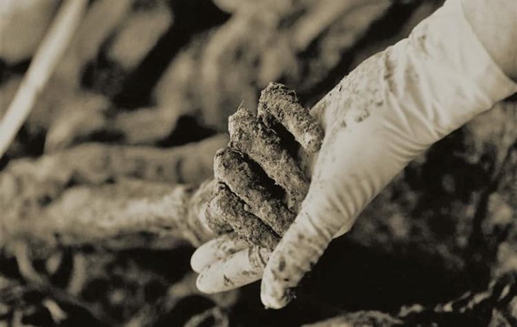 Srebrenica: Ovako su tekle pripreme za genocid