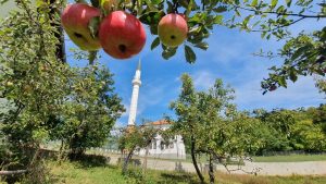Efendija Ibrić je insan u svakom pogledu