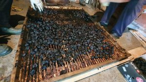 Efendija Ibrić je insan u svakom pogledu