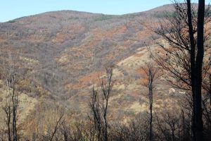 O opstanku i nestanku: Selo Mošići